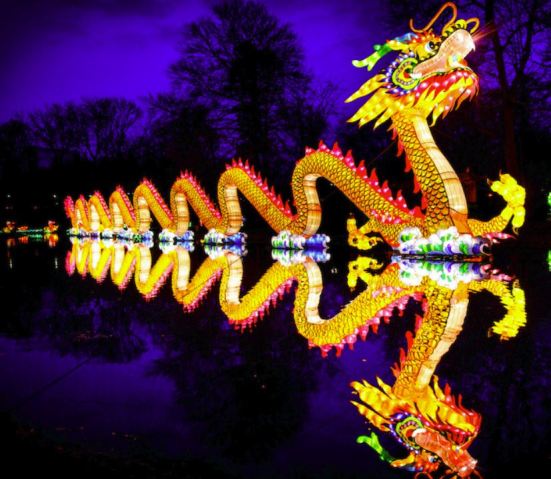 Chinese Lantern Fest