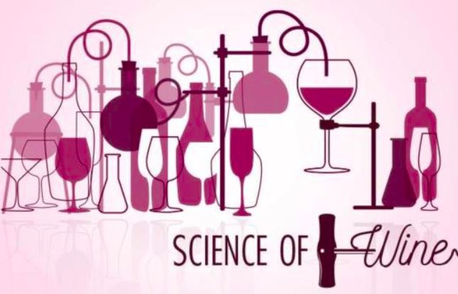Science of Wine