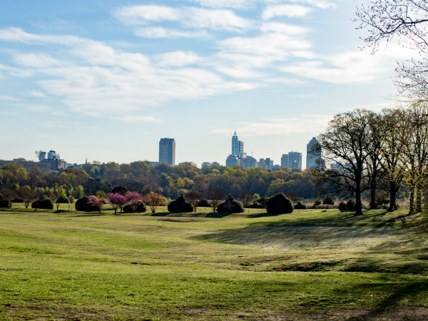 Dorothea Dix Park